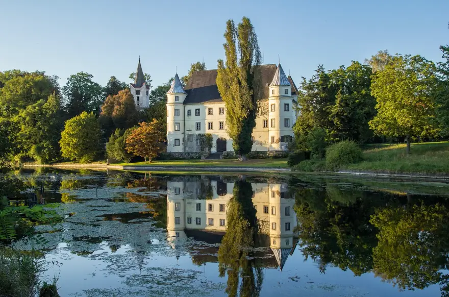 MSWebdesign à Haguenau en Alsace